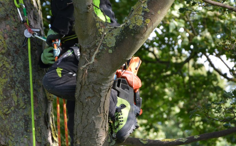 new-arbortec