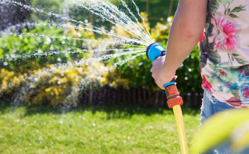 water-lawn