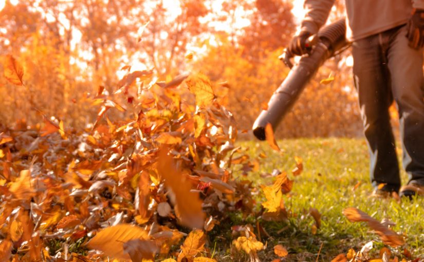 autumn-garden-care