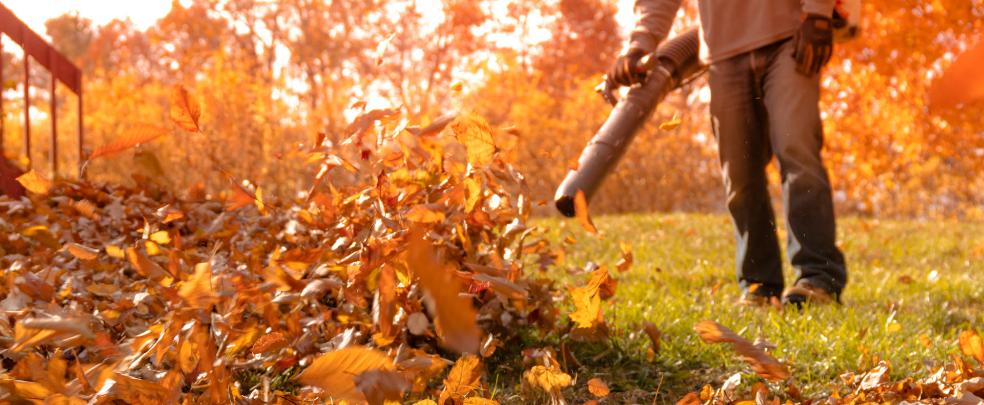 Garden Tips And Tricks For Autumn Radmore Tucker