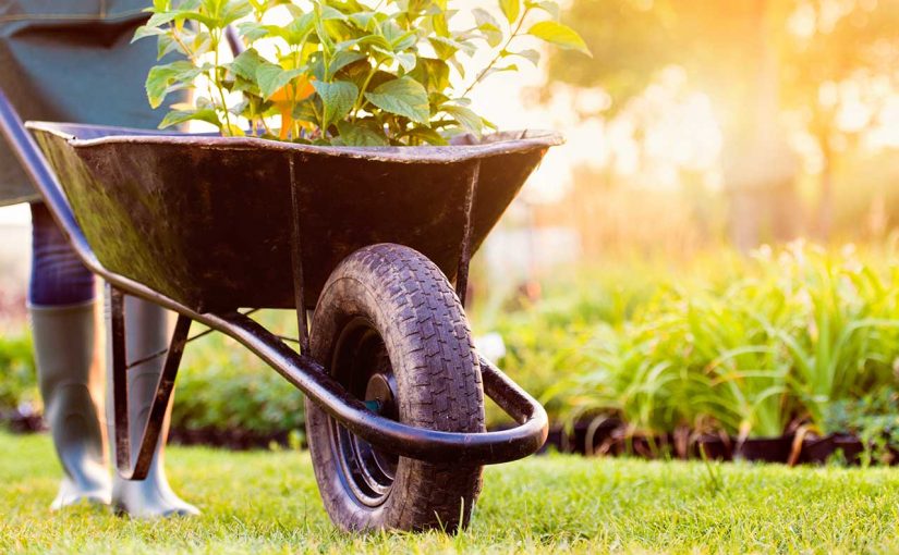 summer-gardening
